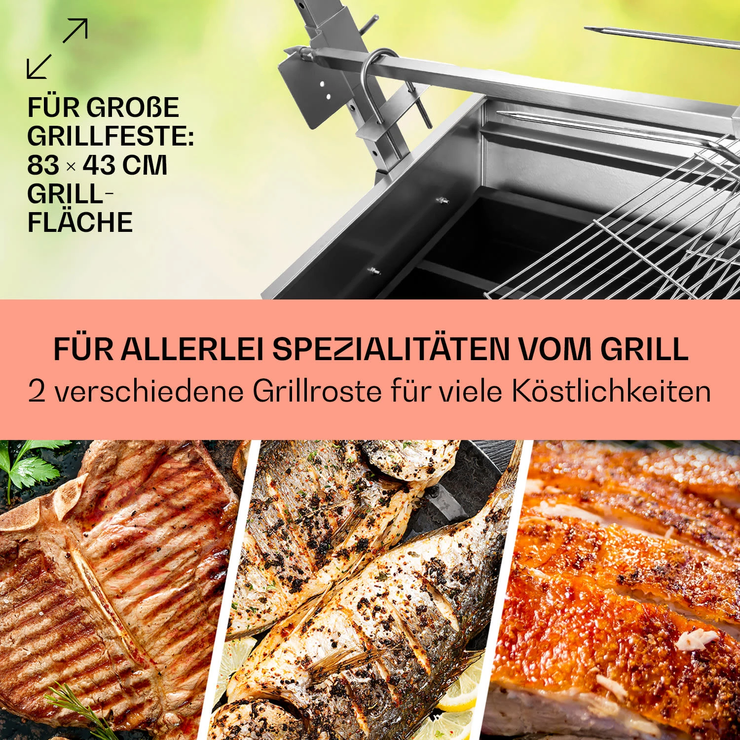 Sauenland Spanferkelgrill Mit Elektromotor Drehspieß 4 Sauenland Spanferkelgrill Mit Elektromotor Drehspieß – Bild 4