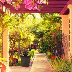 Königsbrunn Springbrunnen Solar 200 L/h LED Akku Basaltoptik -Outdoor Grills Verkaufsgeschäft 10029040 yy 0004 ambient Blumfeldt Koenigsbrunn Solar Springbrunnen reedit