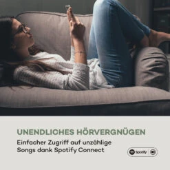 ITuner CD HiFi-Receiver Internet/DAB+/ FM Radio CD-Player WiFi Schwarz -Outdoor Grills Verkaufsgeschäft 10032753 de 0004 logo 1