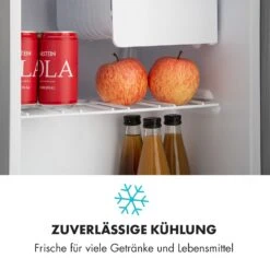 Snoopy Eco Mini-Kühlschrank Mit Gefrierfach 41 Liter 39dB -Outdoor Grills Verkaufsgeschäft 10032855 de 0005 logo