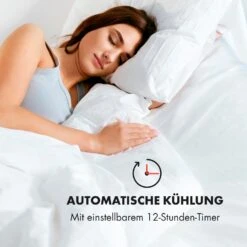 IceWind 4-in-1 Luftkühler Luftdurchsatz: 222 M³/h 36,5 Watt -Outdoor Grills Verkaufsgeschäft 10033496 de 0009 logo