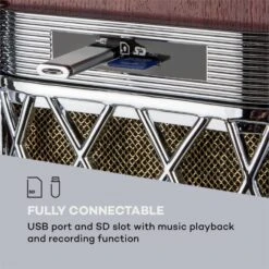 Graceland DAB Jukebox BT CD Vinyl DAB+/UKW USB SD AUX-IN LED-Light -Outdoor Grills Verkaufsgeschäft 10033773 yy 0004 logo auna Graceland DAB Jukebox Holzoptik