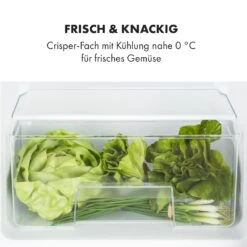 Big Daddy Cool Kühl-Gefrierkombination 61/25 Liter 2 Ebenen Edelstahl -Outdoor Grills Verkaufsgeschäft 10034005 de 0005 logo