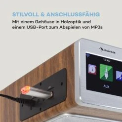 Silver Star Chef Küchenradio 20W Max. CD BT USB Internet/DAB+/UKW -Outdoor Grills Verkaufsgeschäft 10034555 de 0006 logo