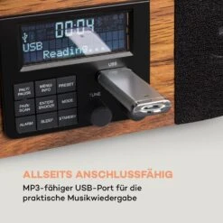 Verticalo SE DAB Retro-Plattenspieler DAB+ UKW-Tuner USB BT AUX Holz -Outdoor Grills Verkaufsgeschäft 10034590 de 0004 logo