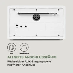 Ambient DAB+/FM Radio BT 5.0 AUX-In  LCDisplay Wecker Eieruhr -Outdoor Grills Verkaufsgeschäft 10034901 de 0006 logo