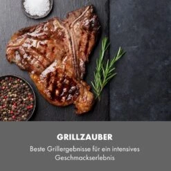 Steakreaktor Core Indoor Grillgerät Hochtemperaturgrill 2100W 800°C -Outdoor Grills Verkaufsgeschäft 10035085 de 0007 logo