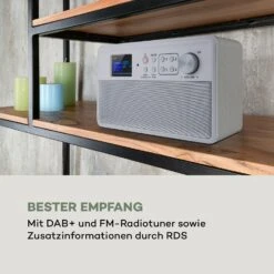 Nestor DAB+ Radio DAB+/FM 2 Betriebsmodi 2,4" TFT-Farbdisplay -Outdoor Grills Verkaufsgeschäft 10035370 de 0003 logo