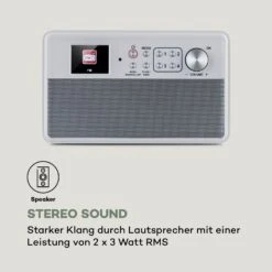 Nestor DAB+ Radio DAB+/FM 2 Betriebsmodi 2,4" TFT-Farbdisplay -Outdoor Grills Verkaufsgeschäft 10035370 de 0006 logo