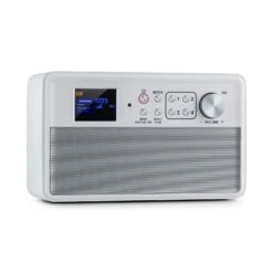 Nestor DAB+ Radio DAB+/FM 2 Betriebsmodi 2,4" TFT-Farbdisplay