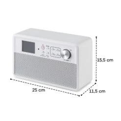 Nestor DAB+ Radio DAB+/FM 2 Betriebsmodi 2,4" TFT-Farbdisplay -Outdoor Grills Verkaufsgeschäft 10035370 yy 0009 logo auna Nestor DAB Radio weiss