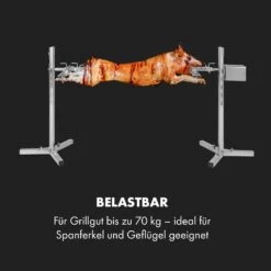 Sauenland Survivor Spanferkelgrill Drehspieß 12W 70kg Max. Edelstahl -Outdoor Grills Verkaufsgeschäft 10035372 de 0005 logo