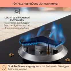 Trifecta 5 Gaskochfeld 5-flammig Triangle-Brenner Glaskeramik -Outdoor Grills Verkaufsgeschäft 10035470 de 0005 usp
