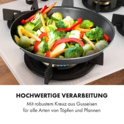 Goldflame 4 Gaskochfeld 4-flammig Messing-Brenner Glaskeramik -Outdoor Grills Verkaufsgeschäft 10035499 de 0007 logo