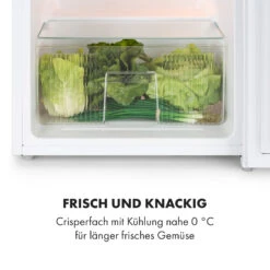 Big Daddy Cool Kühl-Gefrier-Kombination 87 Liter 40dB EEK F -Outdoor Grills Verkaufsgeschäft 10035585 de 0006 logo