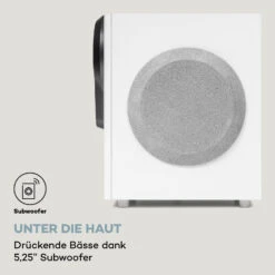 Areal 525 DG 5.1-Surround-System 125W RMS Opt-In BT USB SD AUX Fernbedienung -Outdoor Grills Verkaufsgeschäft 10036136 de 0003 logo