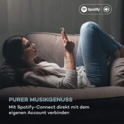 Silver Star CD-HiFi-Receiver Verstärker Internet/DAB+/FM CD WiFi -Outdoor Grills Verkaufsgeschäft 10036446 de 0004 logo