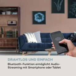 Auna Columbia DAB Radio 60 W CD-Player DAB+/UKW-Tuner USB-Aufnahme Bluetooth -Outdoor Grills Verkaufsgeschäft 10037436 de 0005 logo