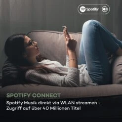 Connect CD MKII Internetradio Mediaplayer BT MP3 DAB+ Spotify Radio 12 Connect CD MKII Internetradio Mediaplayer BT MP3 DAB+ Spotify Radio -Outdoor Grills Verkaufsgeschäft 10037490 de 0003 logo