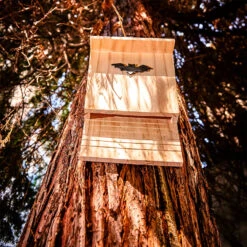 Fledermaushaus Nistkasten Überwinterungshilfe Ganzjährig Kiefer -Outdoor Grills Verkaufsgeschäft 10038132 yy 0005 logo