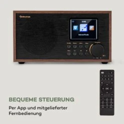 Silver Star Mini Internet DAB+/UKW Radio WiFi BT USB App-Steuerung -Outdoor Grills Verkaufsgeschäft 10038350 de 0003 logo
