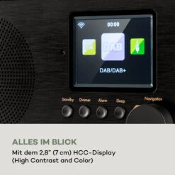 Silver Star Mini Internet DAB+/UKW Radio WiFi BT USB App-Steuerung -Outdoor Grills Verkaufsgeschäft 10038350 de 0005 logo