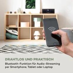 Silver Star Stereo Internet DAB+/UKW Radio BT USB App-Steuerung -Outdoor Grills Verkaufsgeschäft 10038351 de 0005 logo