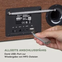 Silver Star Stereo Internet DAB+/UKW Radio BT USB App-Steuerung -Outdoor Grills Verkaufsgeschäft 10038351 de 0007 logo