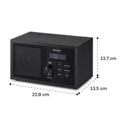 Ambient DAB+/FM Radio BT 5.0 AUX-In LC-Display Wecker Eieruhr -Outdoor Grills Verkaufsgeschäft 10038360 yy 0007 logo
