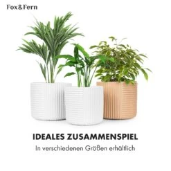 Hasselt Blumentopf Polystone Pflanzenfreundlich Handgemacht 3D-Optik -Outdoor Grills Verkaufsgeschäft 10038548 de 0006 usp