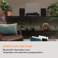 TT-Classic Light Plattenspieler Staubschutz Bluetooth 33/45/78 U/min -Outdoor Grills Verkaufsgeschäft 10038899 de 0003 logo