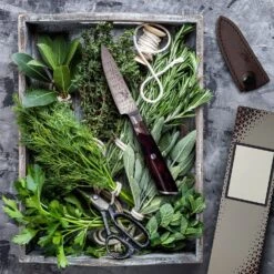 Infinity Wave 4" Schälmesser 61 HRC Damaszenerstahl -Outdoor Grills Verkaufsgeschäft 10039038 yy 0003 logo