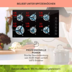 Trifecta 6 Gaskochfeld 6-flammig Gusseisen Glaskeramik -Outdoor Grills Verkaufsgeschäft 10039422 de 0003 usp