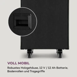 Pro Spin 10 Karaoke-System 14,1" Touch-Display 2xMic WiFi BT USB HDMI -Outdoor Grills Verkaufsgeschäft 10040307 de 0007 logo