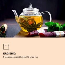 Teeblumen 6 Verschiedene Sorten Einzeln Verpackt Sehr Ergiebig 8 Teeblumen 6 Verschiedene Sorten Einzeln Verpackt Sehr Ergiebig -Outdoor Grills Verkaufsgeschäft 10040406 de 0002 logo