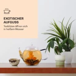 Teeblumen 6 Verschiedene Sorten Einzeln Verpackt Sehr Ergiebig 9 Teeblumen 6 Verschiedene Sorten Einzeln Verpackt Sehr Ergiebig -Outdoor Grills Verkaufsgeschäft 10040406 de 0003 logo