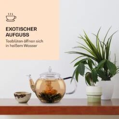 Feelino 6er Teeblume Mix Grün -Outdoor Grills Verkaufsgeschäft 10040407 de 0003 logo