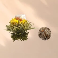 Feelino 6er Teeblume Mix Grün -Outdoor Grills Verkaufsgeschäft 10040407 yy 0007 logo