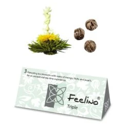 Feelino 6er Teeblume Mix Schwarz