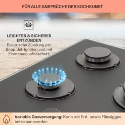 Firetale Gaskochfeld 5-flammig 70 Cm Aluminium-Brenner Inkl. Schlauch Und Druckminderer -Outdoor Grills Verkaufsgeschäft 10041300 de 0005 usp