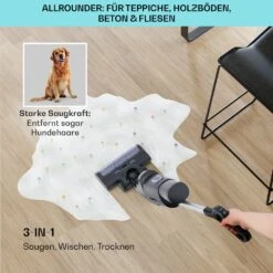 Caswell Plus Nass-/Trockensauger Kabellos Akkubetrieben LED-Display -Outdoor Grills Verkaufsgeschäft 10041383 de 0004 usp